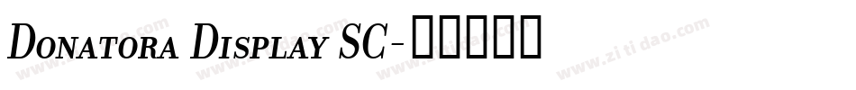 Donatora Display SC字体转换
